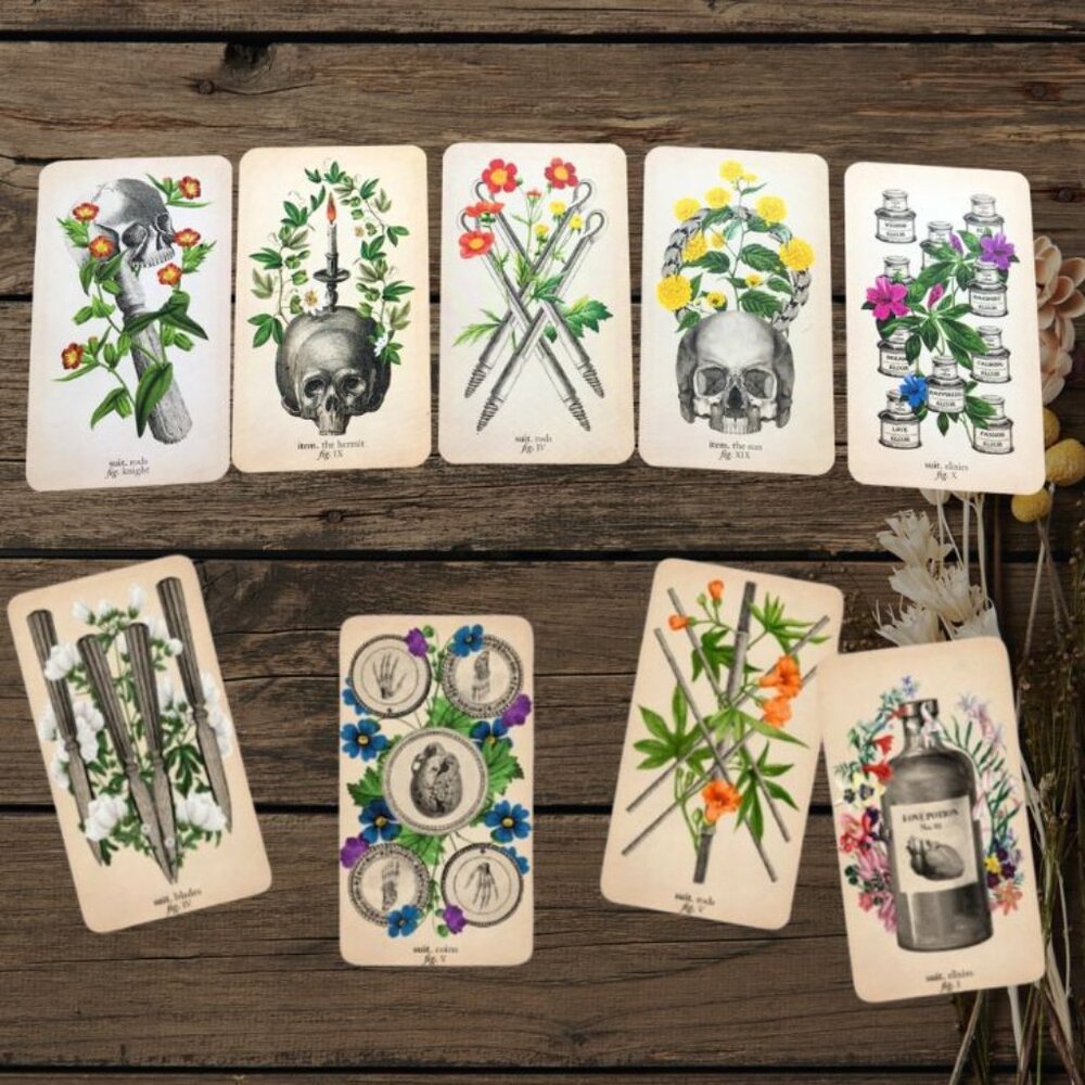 Antique Anatomy Tarot Deck | 78-Card Tarot with Guidebook | Gift Ready - Picture 6 of 16